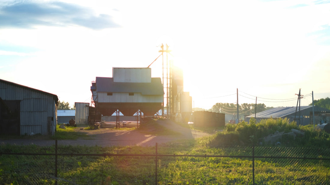 Top or Best Facebook Management Agencies and Companies in Oxford, Mississippi