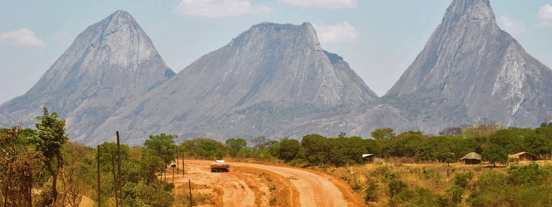 Top Direct Mail Design Agencies in Mozambique