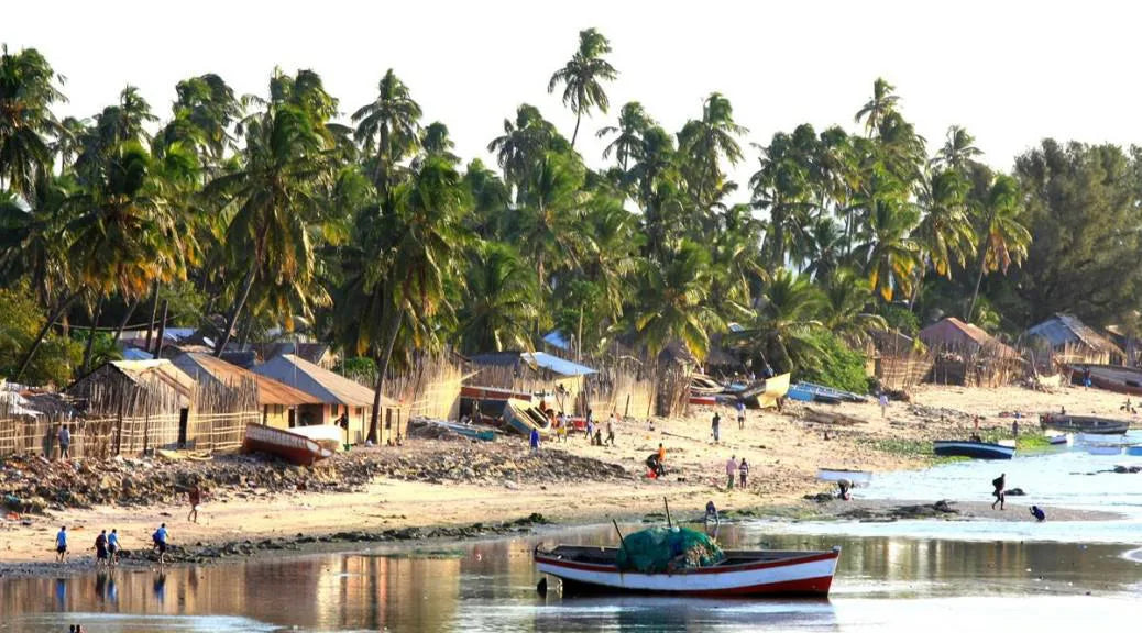 Top Email Campaign Design Agencies in Mozambique