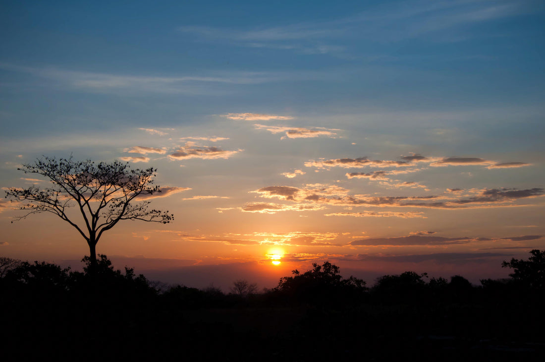 Top NFT Design Agencies in Mozambique
