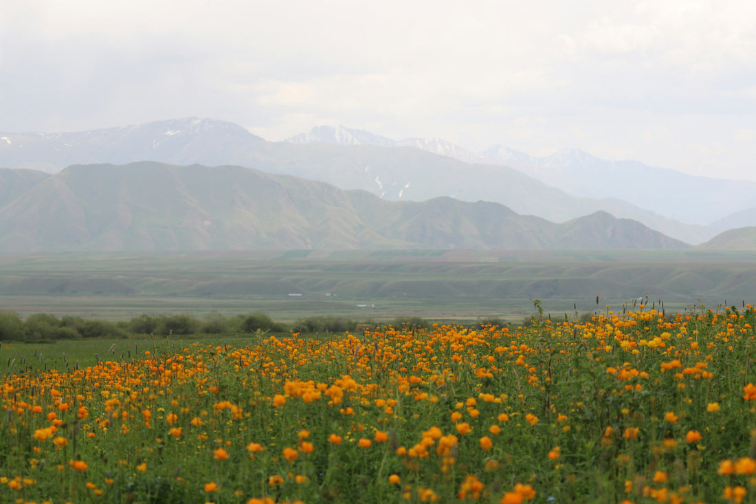 Top or Best LinkedIn Management Agencies and Companies in Spring Valley, Nevada