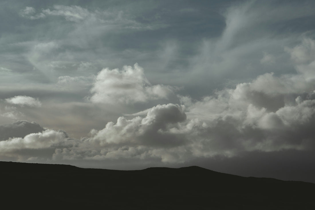 Top and Best Graphic Design Agencies and Companies in Eugene, Oregon