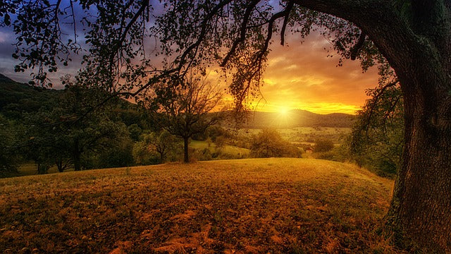 Top 5 Catalog Design Agencies in Vermont