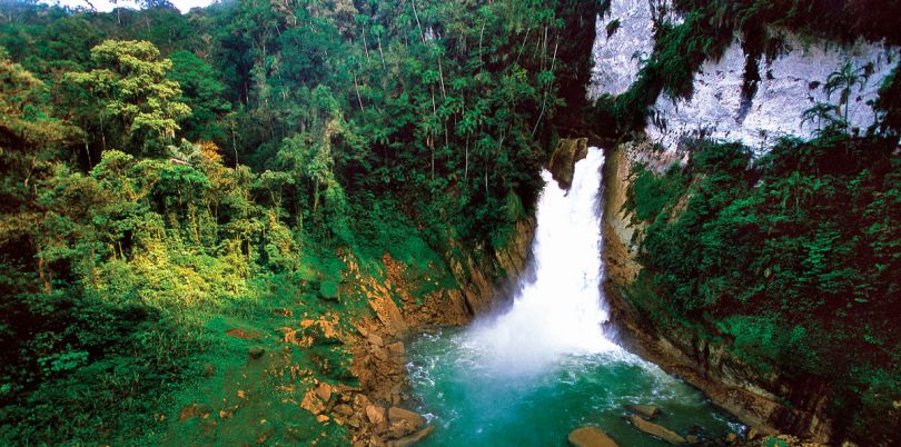 Top 5 Catalog Design Agencies in Papua New Guinea