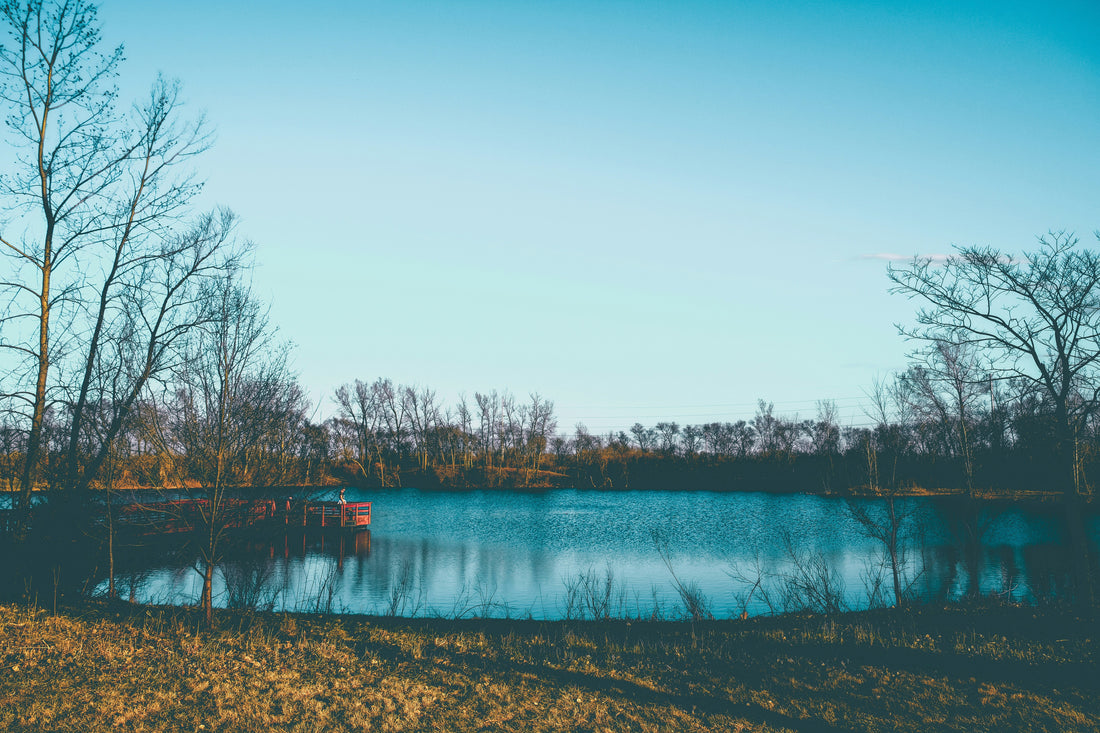 Top and Best App UI/UX Design Agencies and Companies in Mitchell, South Dakota