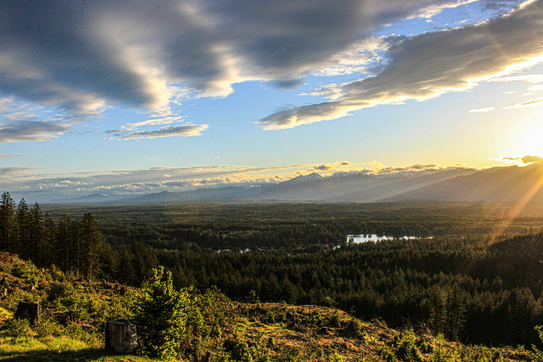 Top and Best Social Media Management Agencies and Companies in Eugene, Oregon