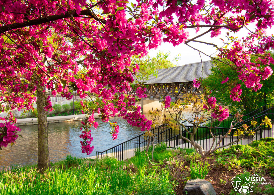 Top or Best Website Design Agencies and Companies in Naperville, Idaho