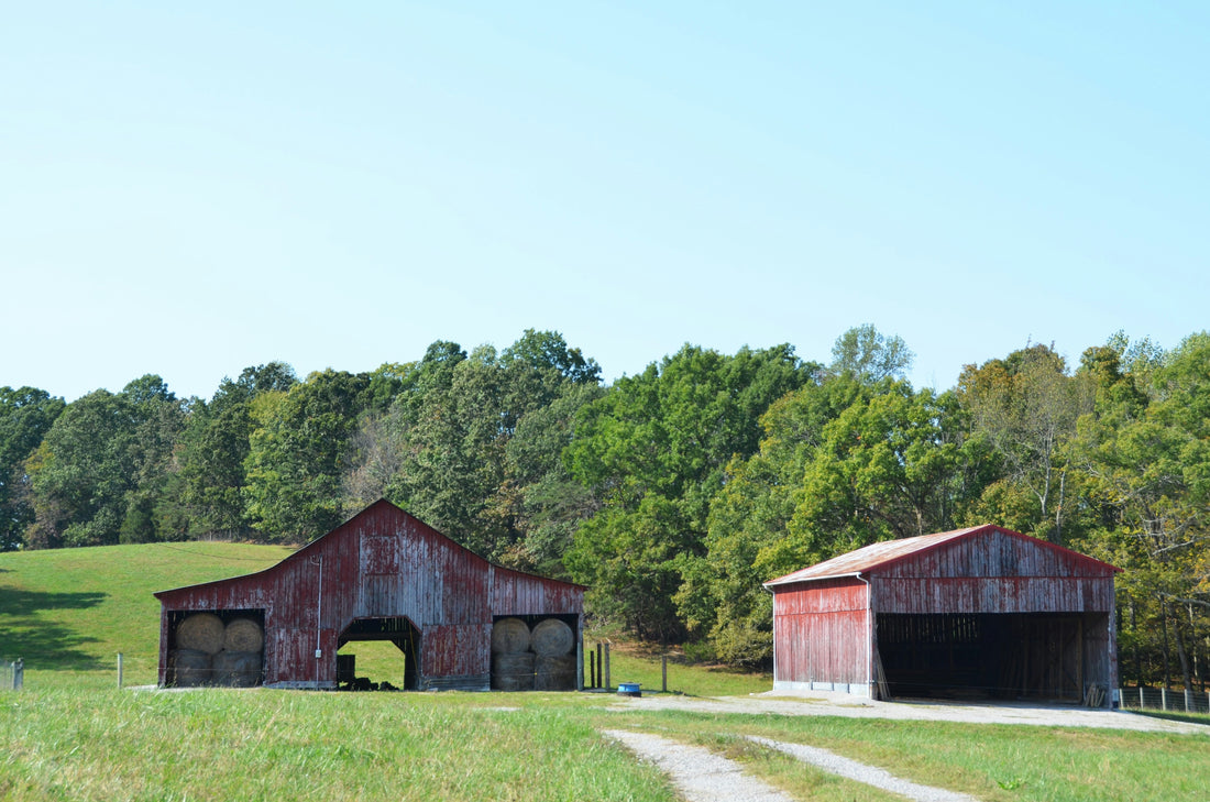 Top and Best Storyboard Agencies and Companies in Burlington, North Carolina