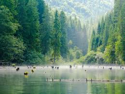 Best TikTok Management Companies in Romania