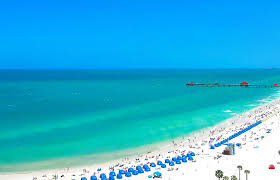 Top or Best Brochure Design Agencies and Companies in St. Petersburg, Florida