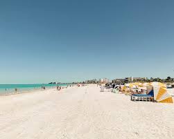 Top or Best Business Card Design Agencies and Companies in St. Petersburg, Florida