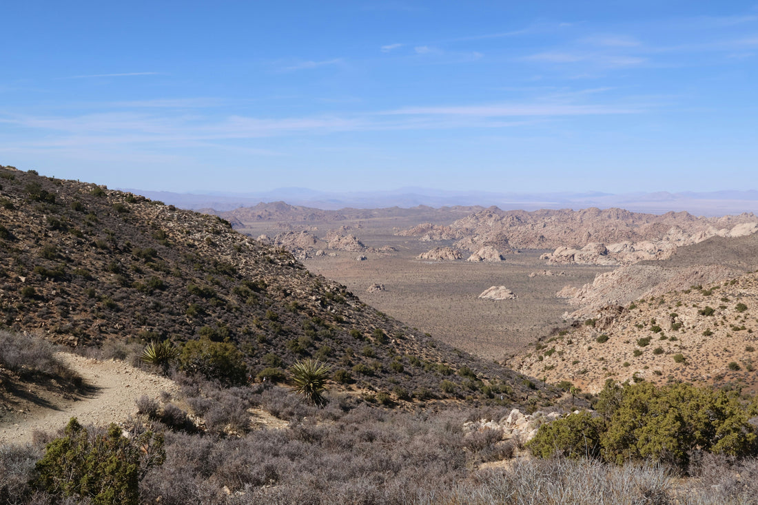 Top or Best Facebook Management Agencies and Companies in Spring Valley, Nevada