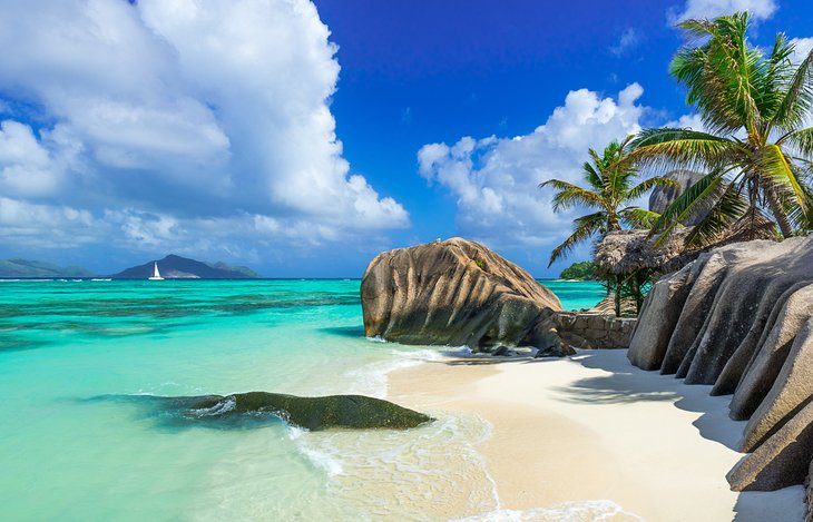 Top or Best Talent Management Agencies and Companies in Seychelles