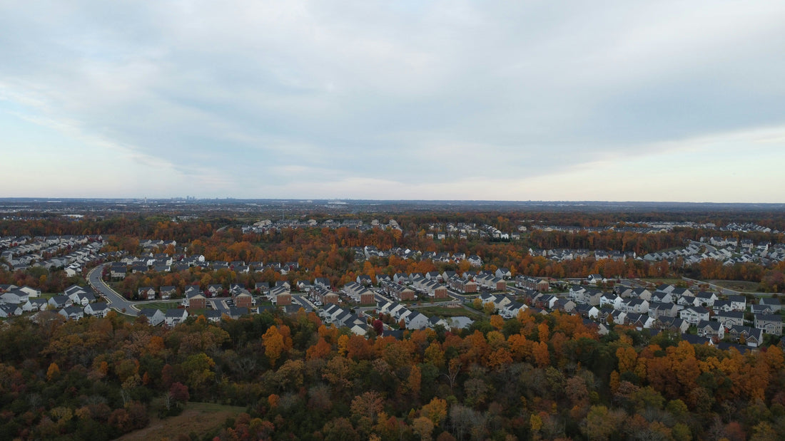 Top and Best Twitch Management Agencies and Companies in Franklin Township, New Jersey