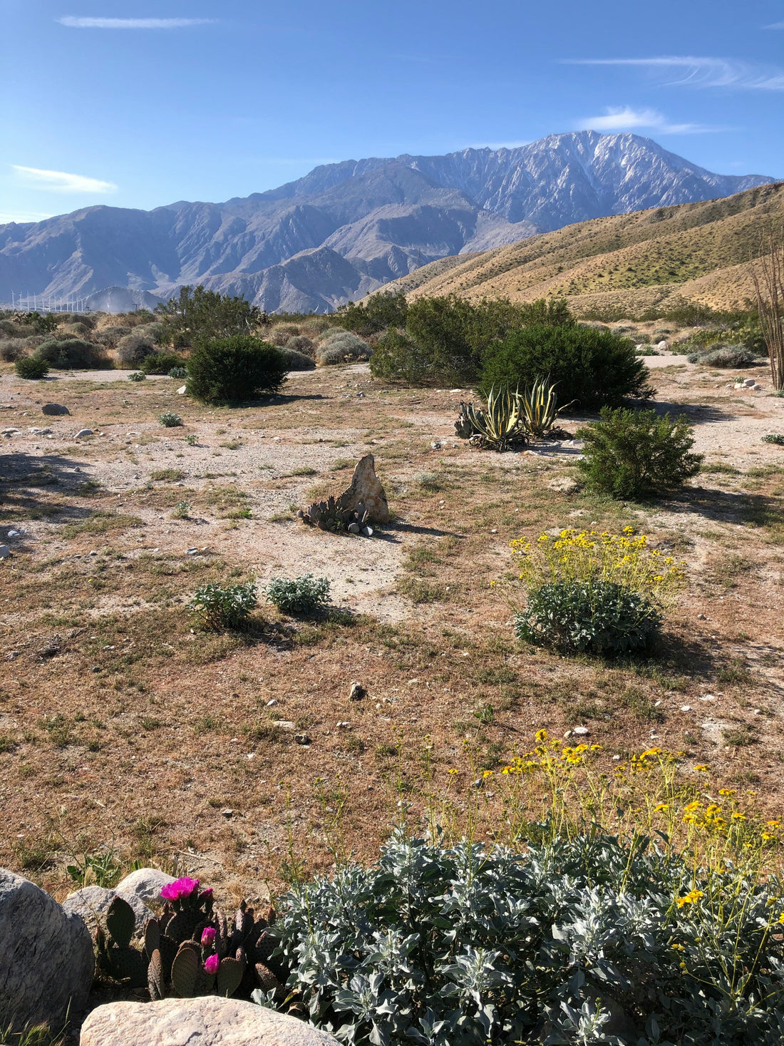 Top or Best Instagram Management Agencies and Companies in Spring Valley, Nevada