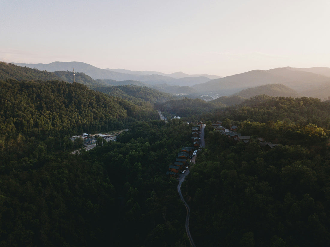 Top and Best Tattoo Design Agencies and Companies in Burlington, North Carolina