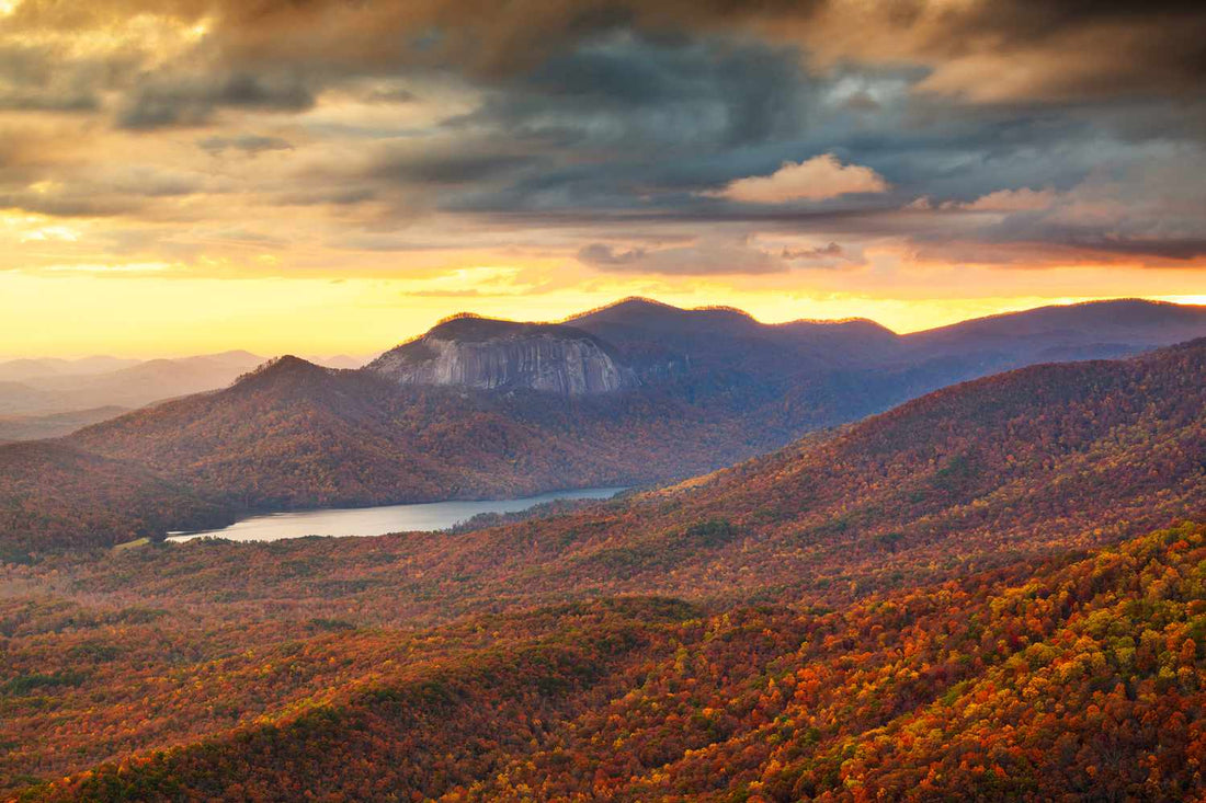 Top or Best Photo Editing Agencies and Companies in Greenville, South Carolina