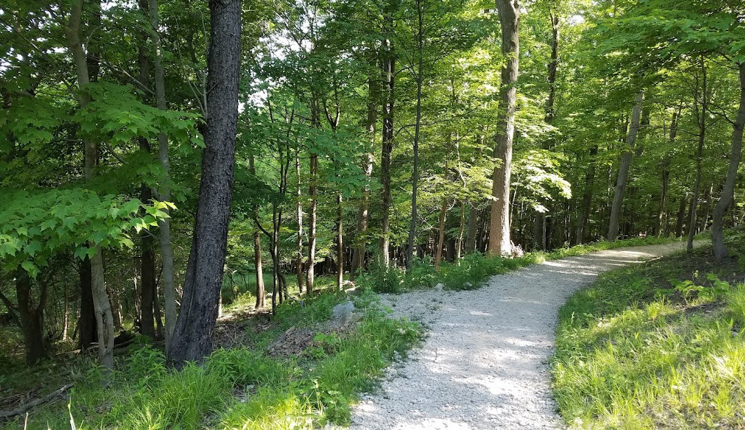 Top or Best Portraits and Caricatures Agencies and Companies in Parma, Ohio