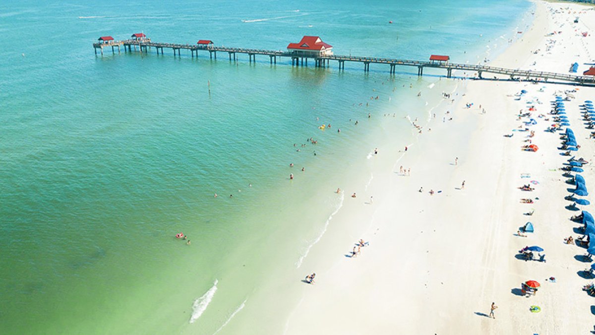 Top or Best Menu Design Agencies and Companies in Clearwater, Florida ...