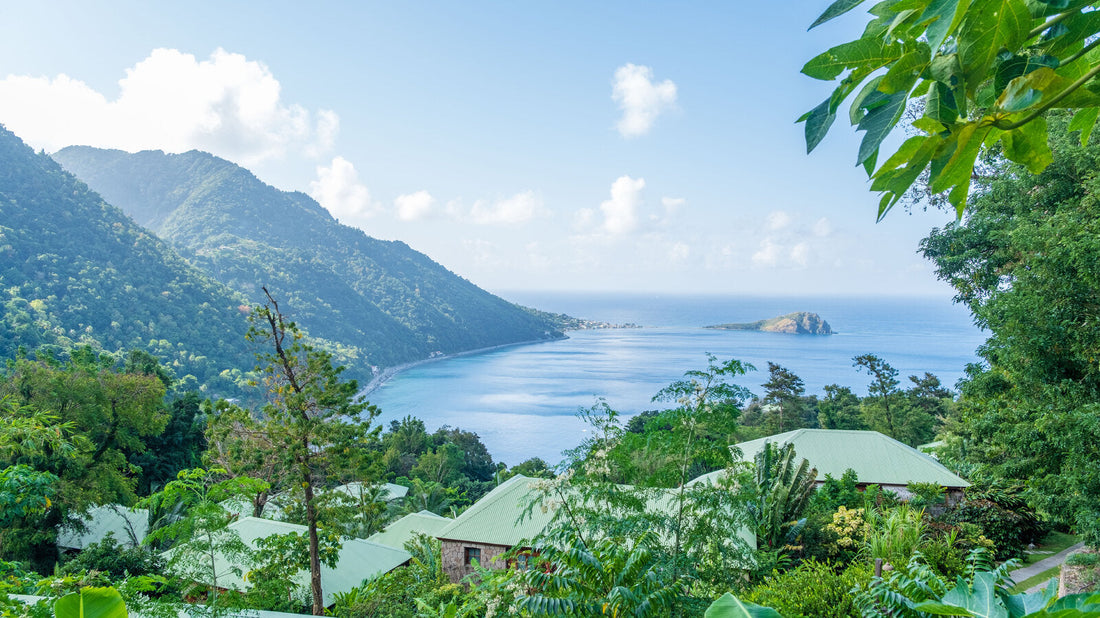 Top or Best Athlete Management Agencies and Companies in Dominica