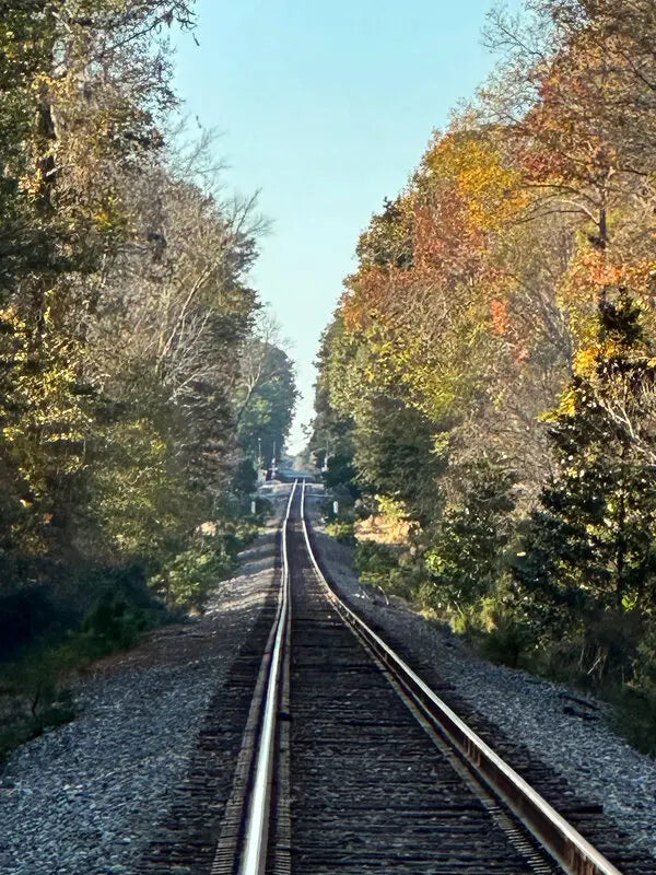 Top or Best Flyer Design Agencies and Companies in Summerville, South Carolina