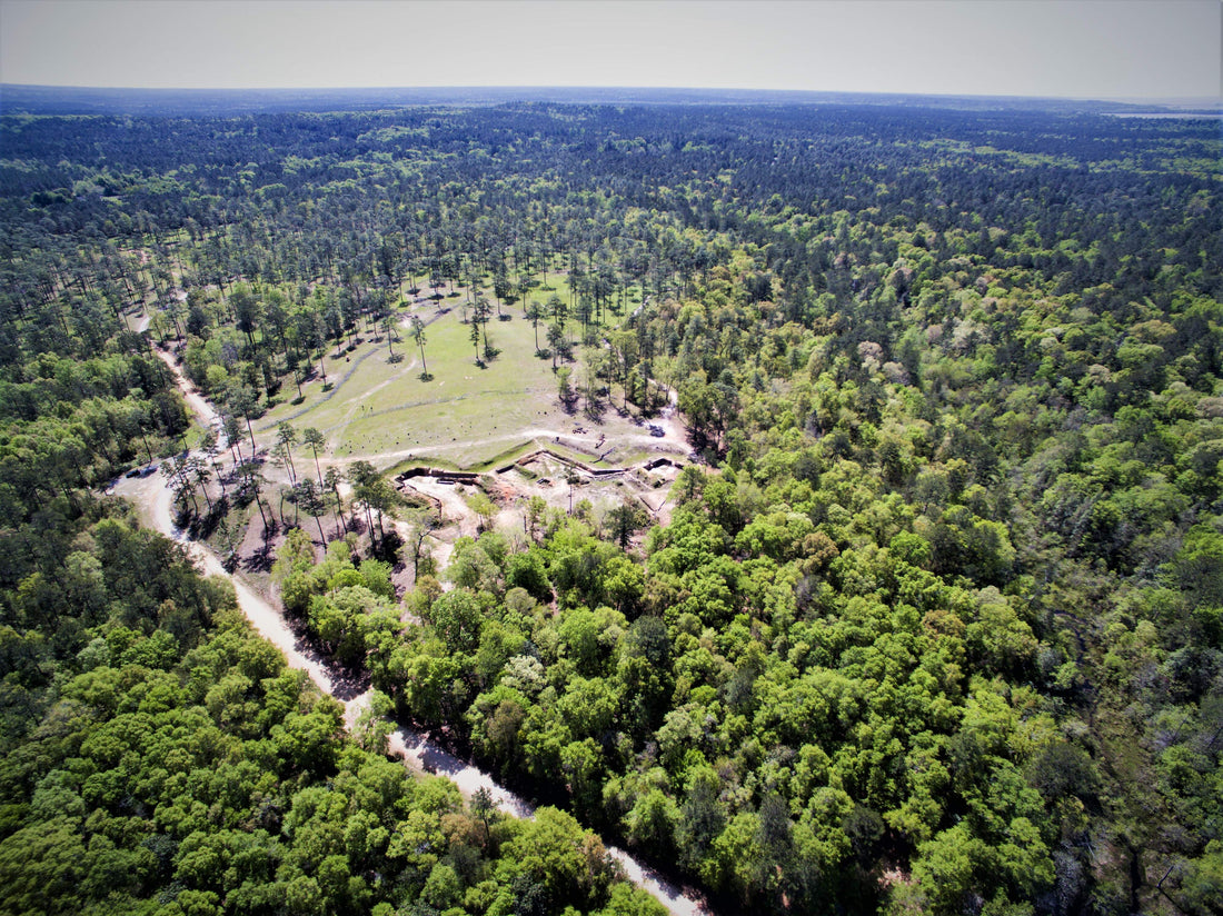 Top or Best Logo Design Agencies and Companies in Spanish Fort, Alabama