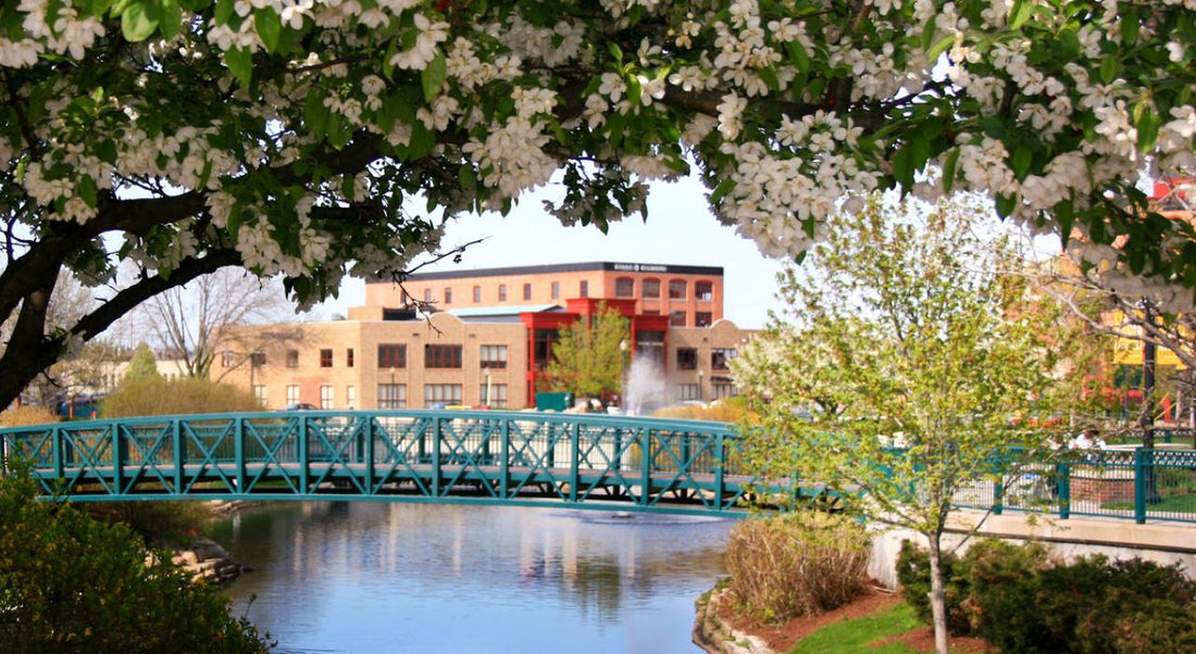 Top or Best Video Editing Agencies and Companies in Kalamazoo, Michigan