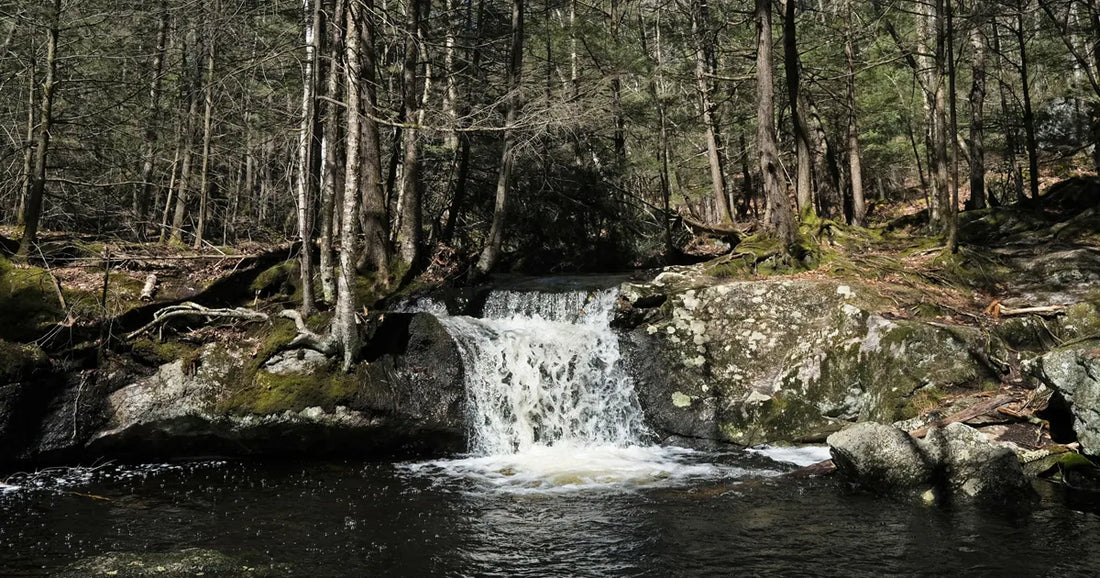 Top or Best Graphic Design Subscription Agencies and Companies in Ramapo, New York