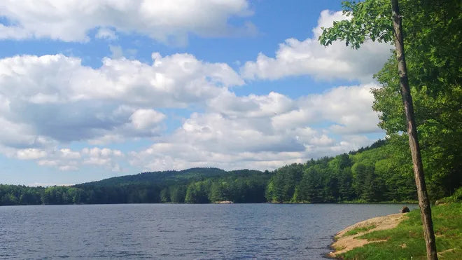 Top or Best Copywriting Agencies and Companies in Essex, Vermont