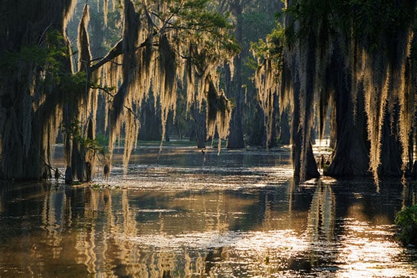 Top or Best Graphic Design Agencies and Companies in Houma, Louisiana