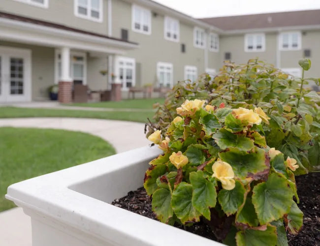 Top or Best Brand Identity Package Agencies and Companies in Martinsburg, West Virginia