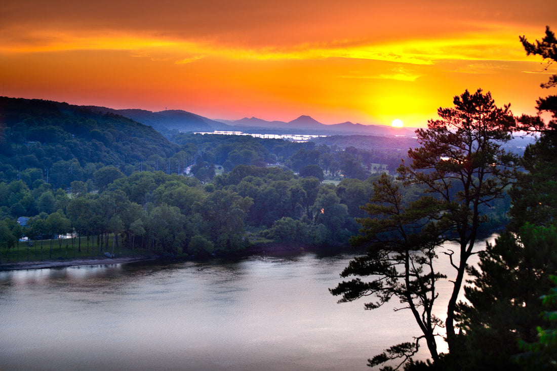 Top or Best Brochure Design Agencies and Companies in Springdale, Arkansas