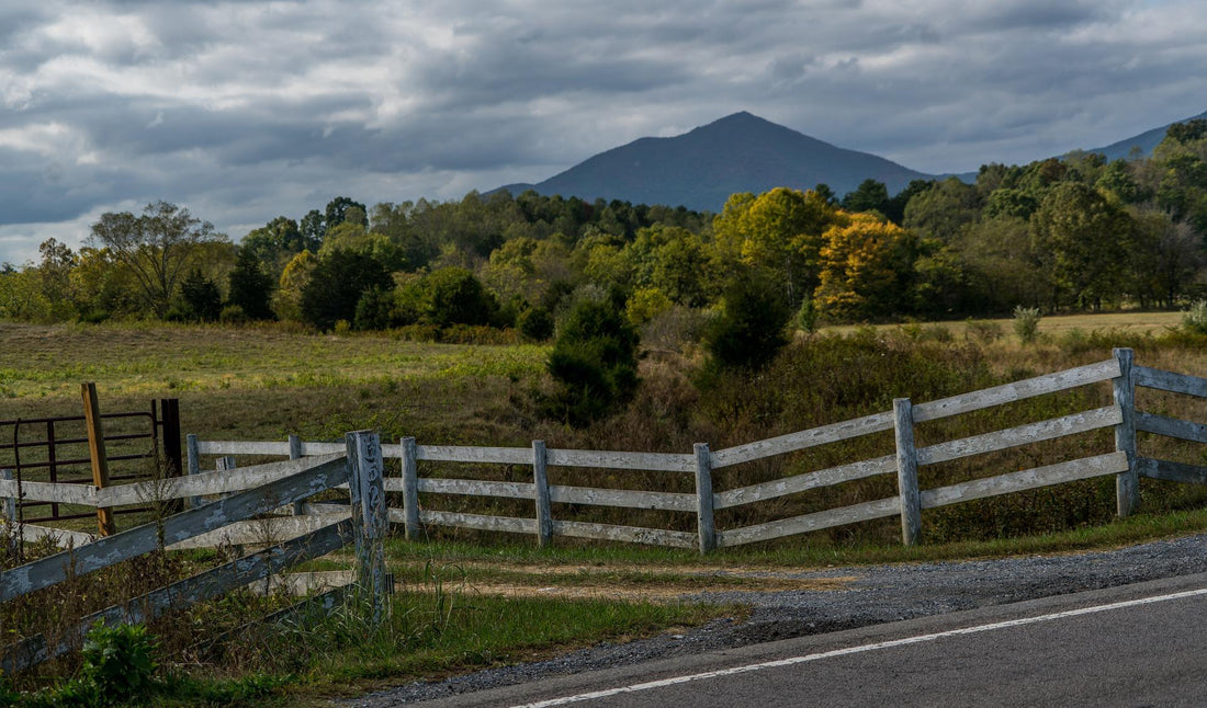 Top or Best Graphic Design Subscription Agencies and Companies in Bluefield, West Virginia