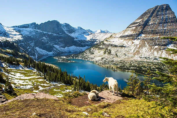 Top 5 Graphic Design Agencies for Streamers in Montana