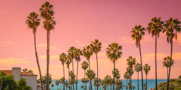 Top 5 Postcard Design Agencies in California