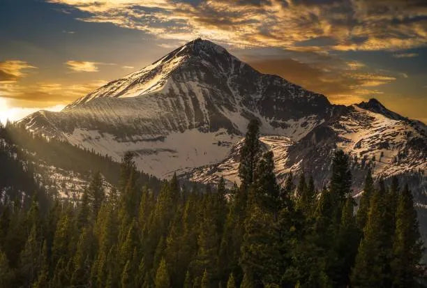 Top 5 Postcard Design Agencies in Montana