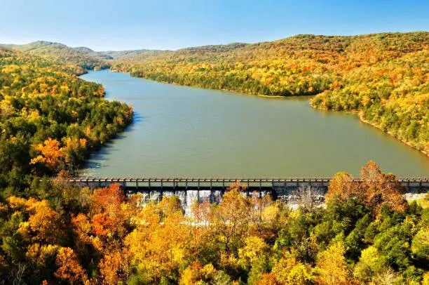 Top 5 Custom Video Graphic Agencies in Arkansas