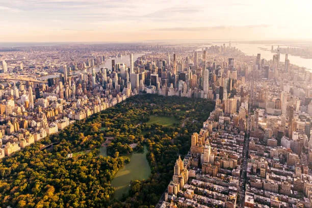 Top 5 Graphic Design Agencies for Streamers in New York