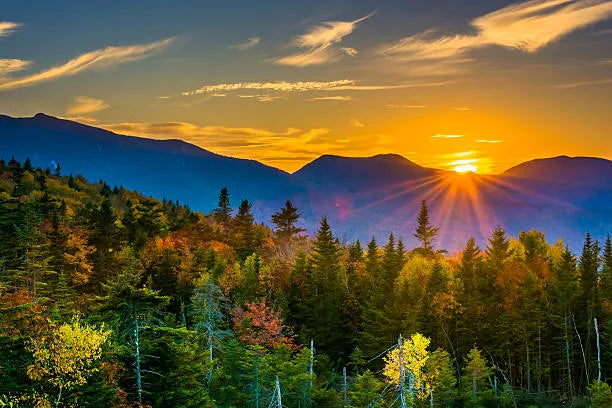 Top 5 Postcard Design Agencies in New Hampshire