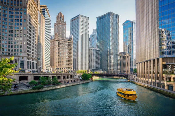 Top 5 Postcard Design Agencies in Illinois