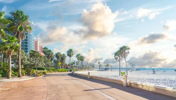 Top 5 Postcard Design Agencies in Florida