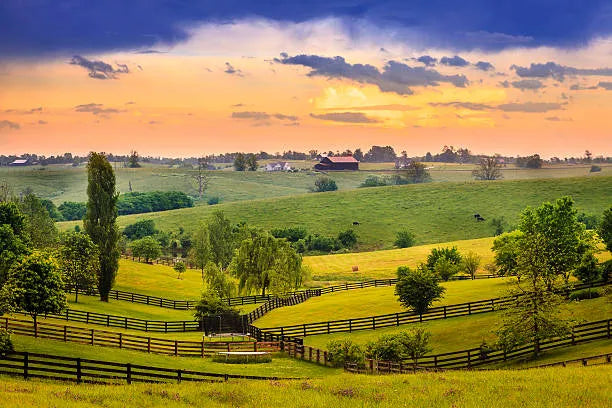 Top 5 Postcard Design Agencies in Kentucky