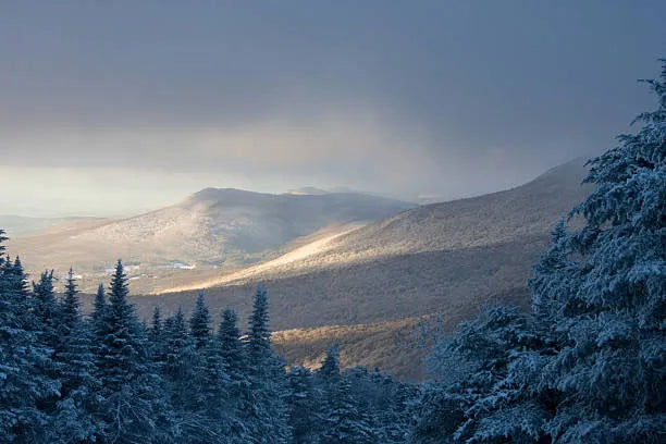 Top 5 Graphic Design Agencies for Streamers in Vermont