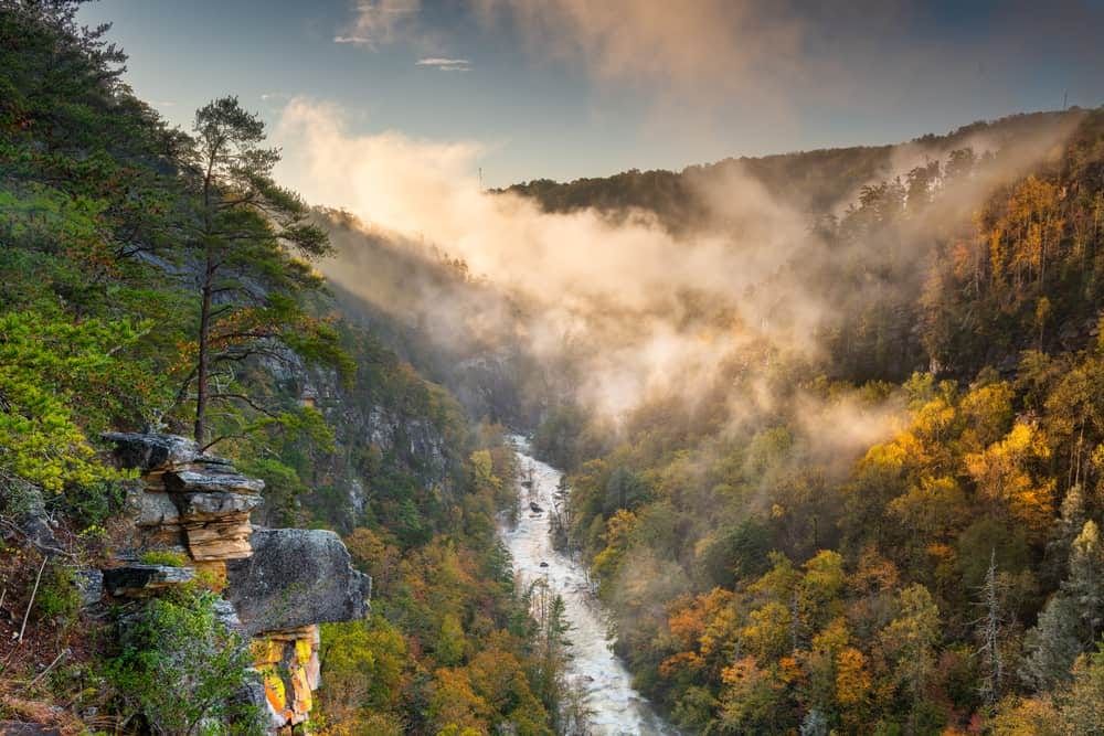Top or Best AR Filters and Lenses Agencies and Companies in Mableton, Georgia