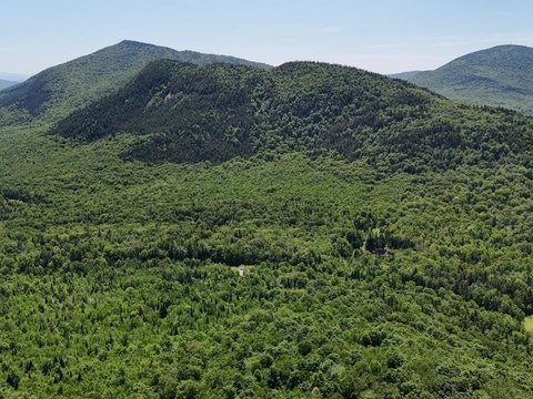 Top or Best Presentation Design Agencies and Companies in Essex, Vermont