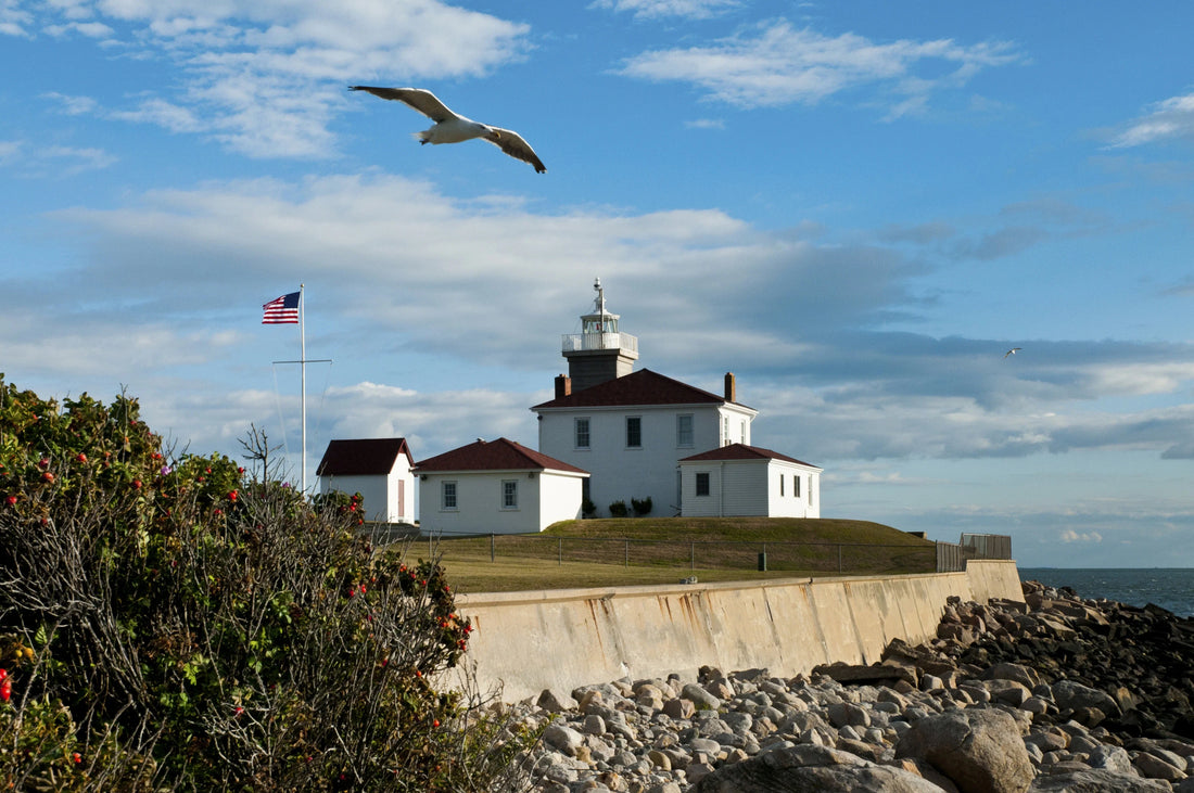 Top or Best Web & Mobile Design Agencies and Companies in Westerly, Rhode Island