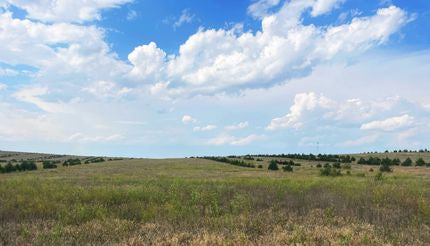 Top or Best Presentation Design Agencies and Companies in Lexington, Nebraska