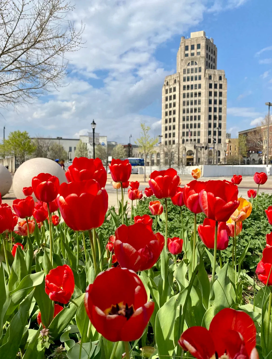 Top or Best Social Media Management Agencies and Companies in Elgin, Illinois