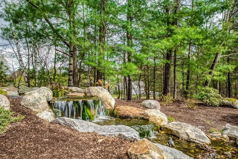 Top or Best Instagram Management Agencies and Companies in Bedford, New Hampshire