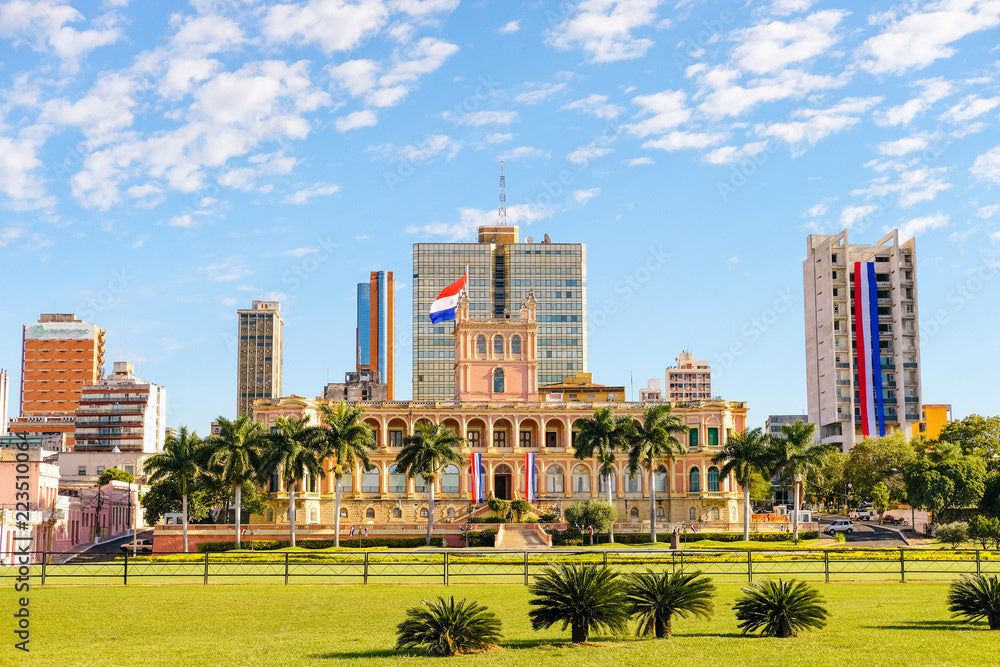 Top 5 Mural Design Agencies in Paraguay
